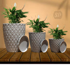 Kit 3 Vasos Diamante com Prato para Plantas - imagem de uso